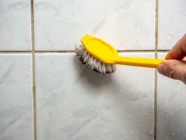 Best Mold Remediation Services  in Beverly Hills, CA