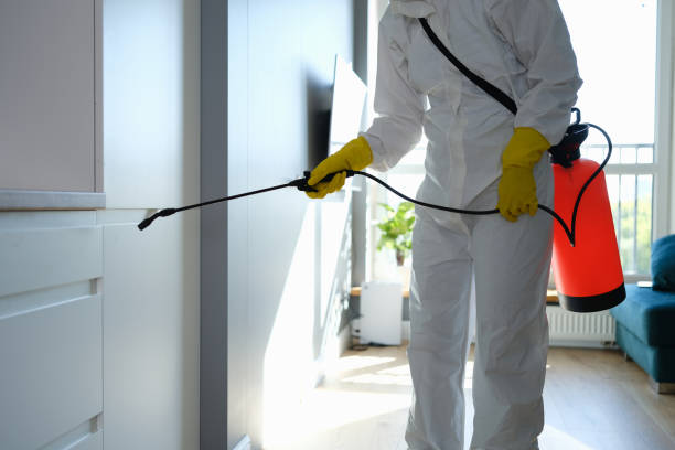 Best Mold Removal Specialists  in Beverly Hills, CA