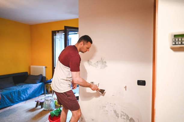 Best Attic Mold Removal  in Beverly Hills, CA